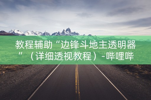 教程辅助“边锋斗地主透明器”（详细透视教程）-哔哩哔哩