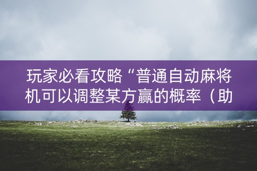 玩家必看攻略“普通自动麻将机可以调整某方赢的概率（助赢神器通用版）
