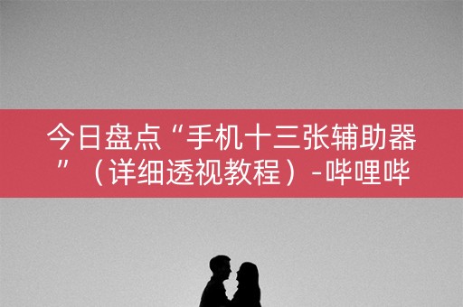 今日盘点“手机十三张辅助器”（详细透视教程）-哔哩哔哩