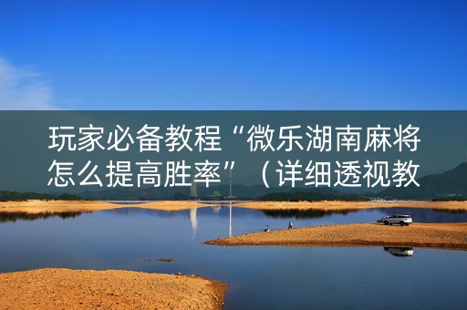 玩家必备教程“微乐湖南麻将怎么提高胜率”（详细透视教程）-哔哩哔哩