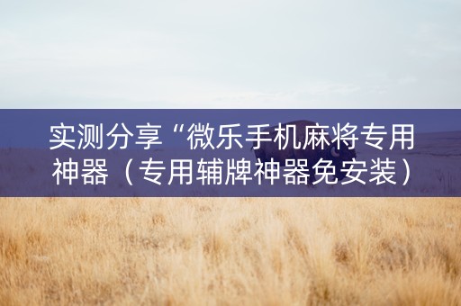 实测分享“微乐手机麻将专用神器（专用辅牌神器免安装）