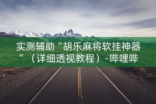 实测辅助“胡乐麻将软挂神器”（详细透视教程）-哔哩哔哩