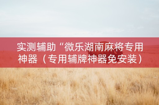 实测辅助“微乐湖南麻将专用神器（专用辅牌神器免安装）