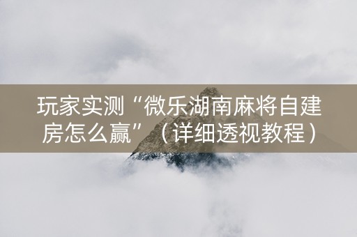 玩家实测“微乐湖南麻将自建房怎么赢”（详细透视教程）-哔哩哔哩