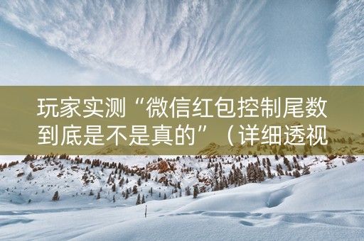 玩家实测“微信红包控制尾数到底是不是真的”（详细透视教程）-哔哩哔哩