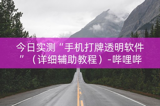 今日实测“手机打牌透明软件”（详细辅助教程）-哔哩哔哩
