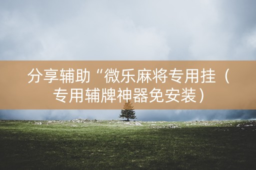 分享辅助“微乐麻将专用挂（专用辅牌神器免安装）