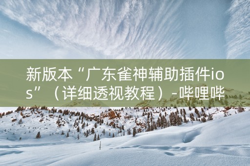 新版本“广东雀神辅助插件ios”（详细透视教程）-哔哩哔哩