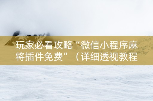 玩家必看攻略“微信小程序麻将插件免费”（详细透视教程）-哔哩哔哩