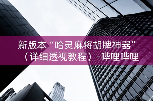 新版本“哈灵麻将胡牌神器”（详细透视教程）-哔哩哔哩