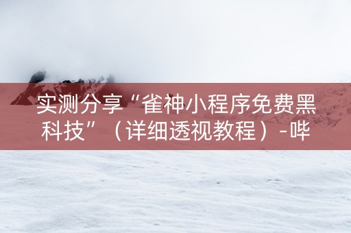 实测分享“雀神小程序免费黑科技”（详细透视教程）-哔哩哔哩