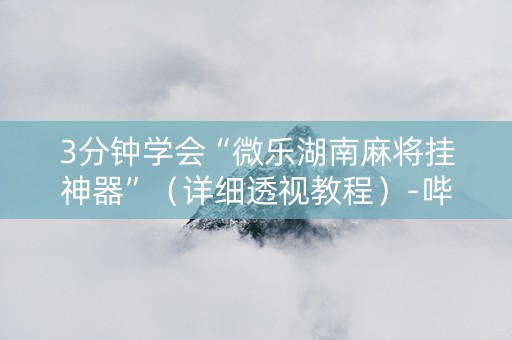 3分钟学会“微乐湖南麻将挂神器”（详细透视教程）-哔哩哔哩