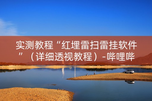 实测教程“红埋雷扫雷挂软件”（详细透视教程）-哔哩哔哩