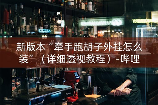 新版本“牵手跑胡子外挂怎么装”（详细透视教程）-哔哩哔哩