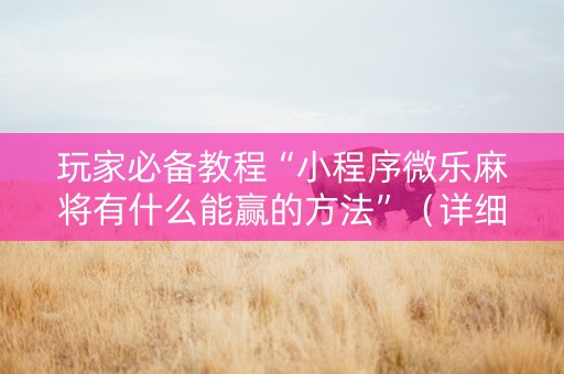 玩家必备教程“小程序微乐麻将有什么能赢的方法”（详细透视教程）-哔哩哔哩
