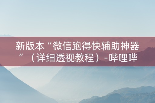 新版本“微信跑得快辅助神器”（详细透视教程）-哔哩哔哩