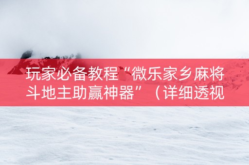 玩家必备教程“微乐家乡麻将斗地主助赢神器”（详细透视教程）-哔哩哔哩