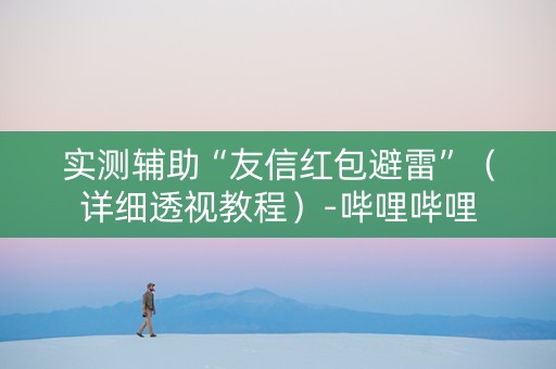 实测辅助“友信红包避雷”（详细透视教程）-哔哩哔哩