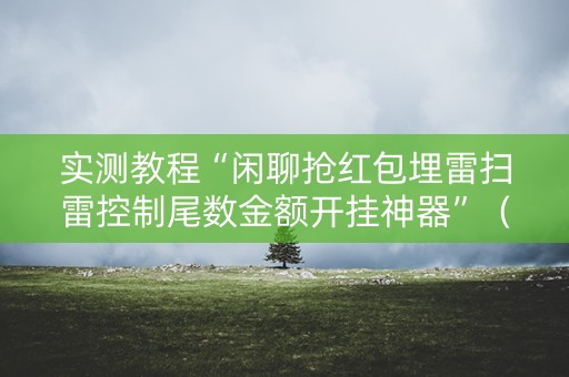 实测教程“闲聊抢红包埋雷扫雷控制尾数金额开挂神器”（详细透视教程）-哔哩哔哩