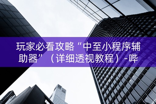 玩家必看攻略“中至小程序辅助器”（详细透视教程）-哔哩哔哩