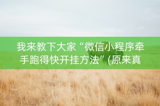 我来教下大家“微信小程序牵手跑得快开挂方法”(原来真的有挂)-知乎