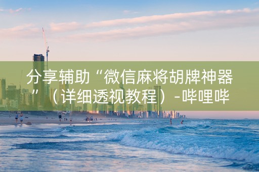 分享辅助“微信麻将胡牌神器”（详细透视教程）-哔哩哔哩