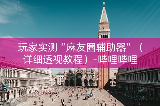 玩家实测“麻友圈辅助器”（详细透视教程）-哔哩哔哩