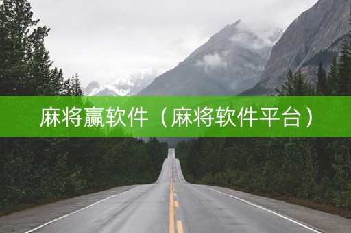 麻将赢软件（麻将软件平台）