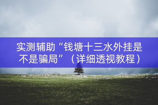 实测辅助“钱塘十三水外挂是不是骗局”（详细透视教程）-哔哩哔哩