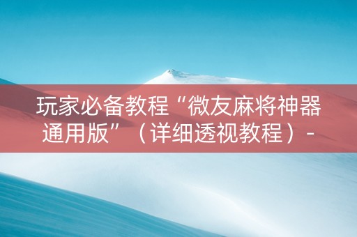 玩家必备教程“微友麻将神器通用版”（详细透视教程）-哔哩哔哩