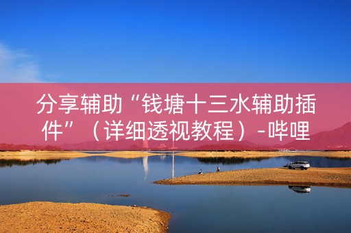 分享辅助“钱塘十三水辅助插件”（详细透视教程）-哔哩哔哩