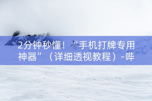 2分钟秒懂！“手机打牌专用神器”（详细透视教程）-哔哩哔哩