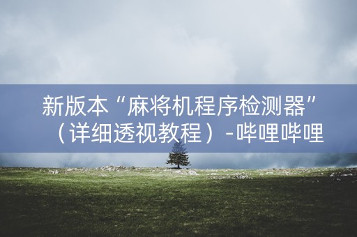 新版本“麻将机程序检测器”（详细透视教程）-哔哩哔哩