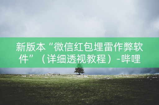 新版本“微信红包埋雷作弊软件”（详细透视教程）-哔哩哔哩