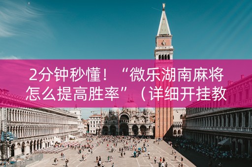 2分钟秒懂！“微乐湖南麻将怎么提高胜率”（详细开挂教程）-哔哩哔哩