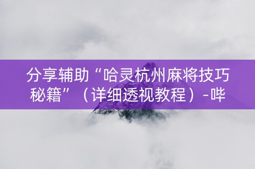 分享辅助“哈灵杭州麻将技巧秘籍”（详细透视教程）-哔哩哔哩