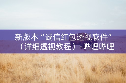 新版本“诚信红包透视软件”（详细透视教程）-哔哩哔哩