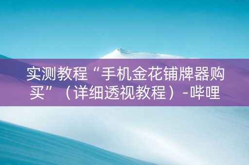实测教程“手机金花铺牌器购买”（详细透视教程）-哔哩哔哩