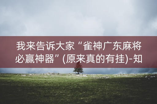 我来告诉大家“雀神广东麻将必赢神器”(原来真的有挂)-知乎