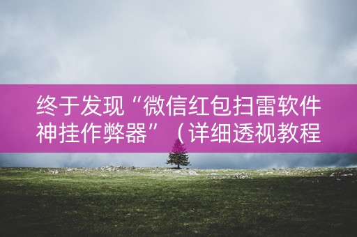 终于发现“微信红包扫雷软件神挂作弊器”（详细透视教程）-哔哩哔哩