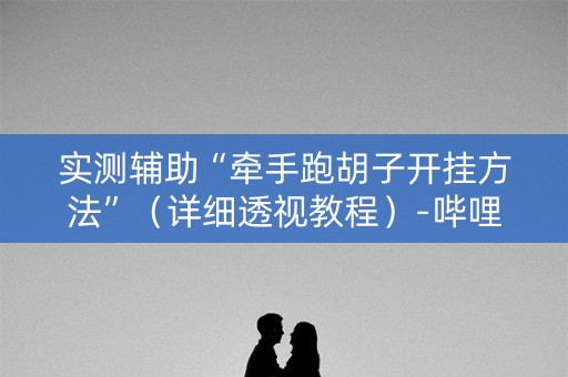 实测辅助“牵手跑胡子开挂方法”（详细透视教程）-哔哩哔哩