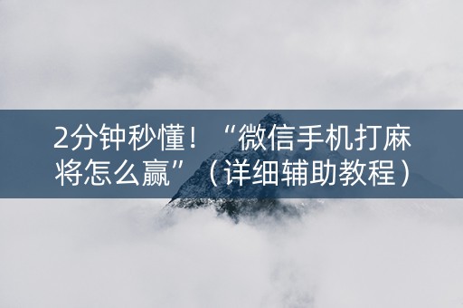2分钟秒懂！“微信手机打麻将怎么赢”（详细辅助教程）-哔哩哔哩