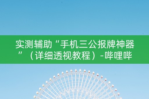 实测辅助“手机三公报牌神器”（详细透视教程）-哔哩哔哩