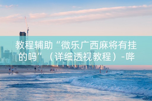 教程辅助“微乐广西麻将有挂的吗”（详细透视教程）-哔哩哔哩