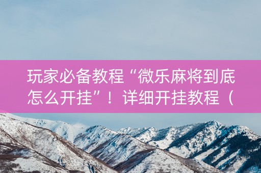 玩家必备教程“微乐麻将到底怎么开挂”！详细开挂教程（确实真的有挂)-知乎