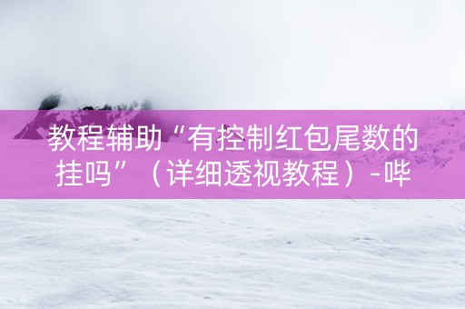 教程辅助“有控制红包尾数的挂吗”（详细透视教程）-哔哩哔哩