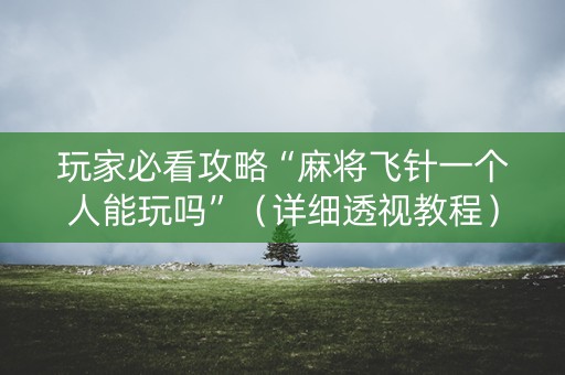 玩家必看攻略“麻将飞针一个人能玩吗”（详细透视教程）-哔哩哔哩