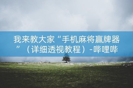 我来教大家“手机麻将赢牌器”（详细透视教程）-哔哩哔哩