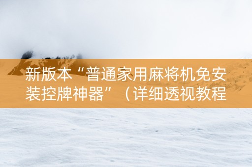 新版本“普通家用麻将机免安装控牌神器”（详细透视教程）-哔哩哔哩