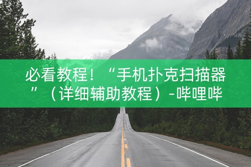 必看教程！“手机扑克扫描器”（详细辅助教程）-哔哩哔哩